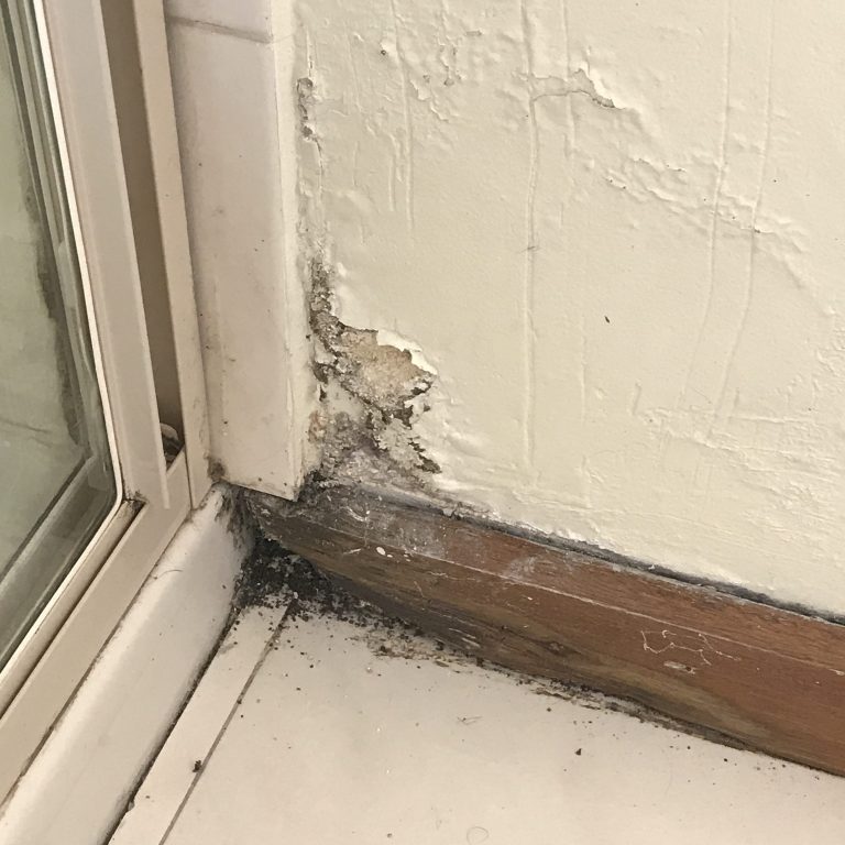IMG_0130-scaled-aspect-ratio-650-650 - Home Inspections ABPOM shower leaking