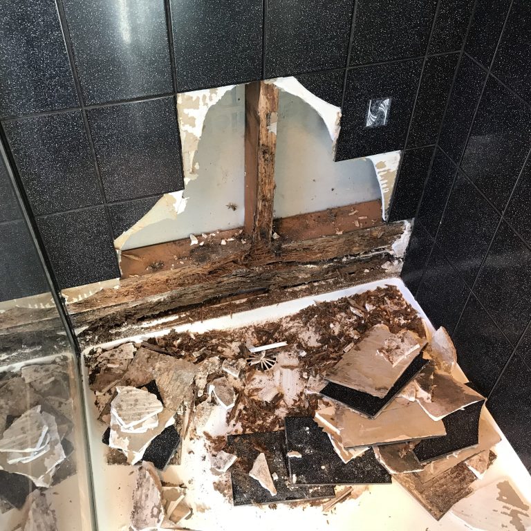 Photo-29-8-18-16-10-33-scaled-aspect-ratio-650-650 - Home Inspections ABPOM Moisture damage from leaking shower